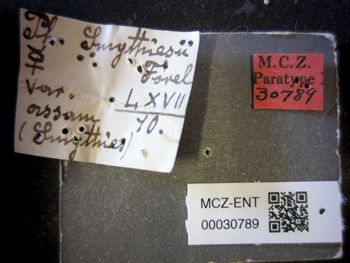 Media type: image;   Entomology 30789 Aspect: labels